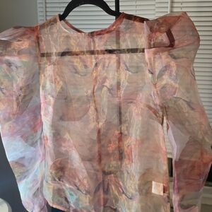 Source Unknown Multicolor Sheer Blouse
